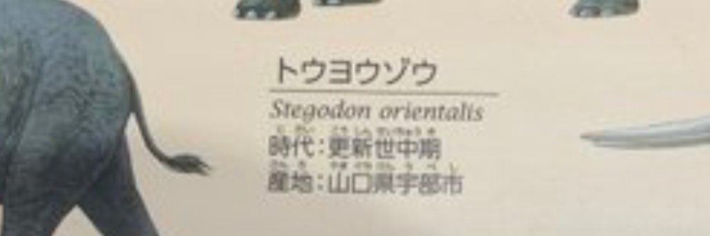 東洋トーヨー banner