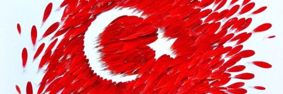 drhamarat's profile banner image