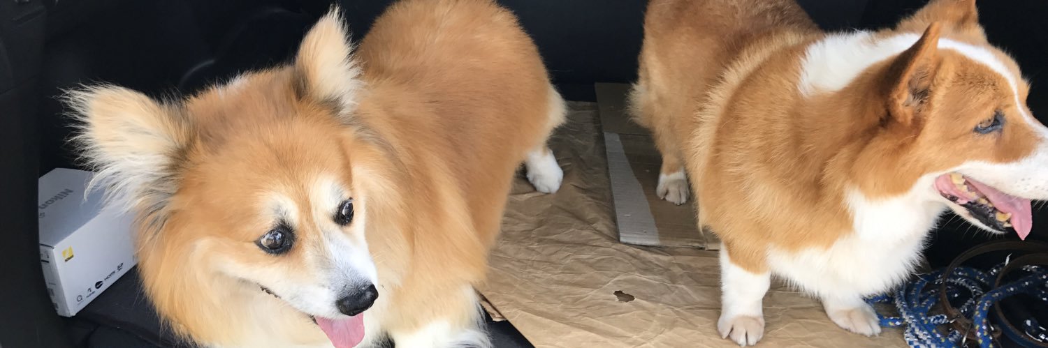 ふっさん banner
