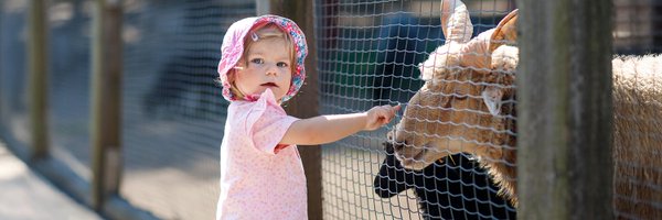 WiscPediatrics Profile Banner