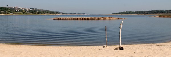 FredFMartins Profile Banner