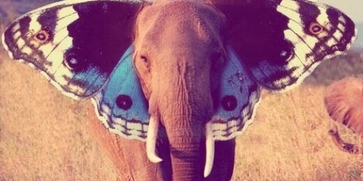 AleeeGomez's profile banner image