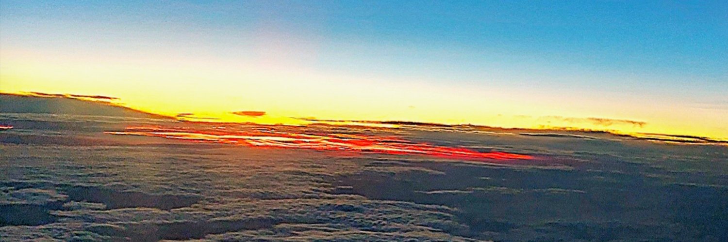 Fernando Ferrelli banner