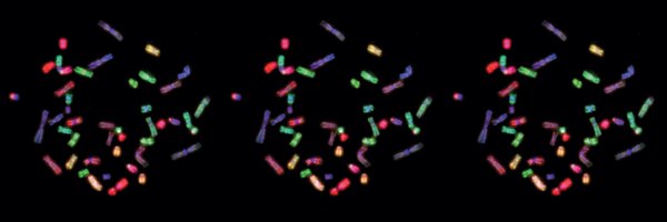 PeterLyLab Profile Banner
