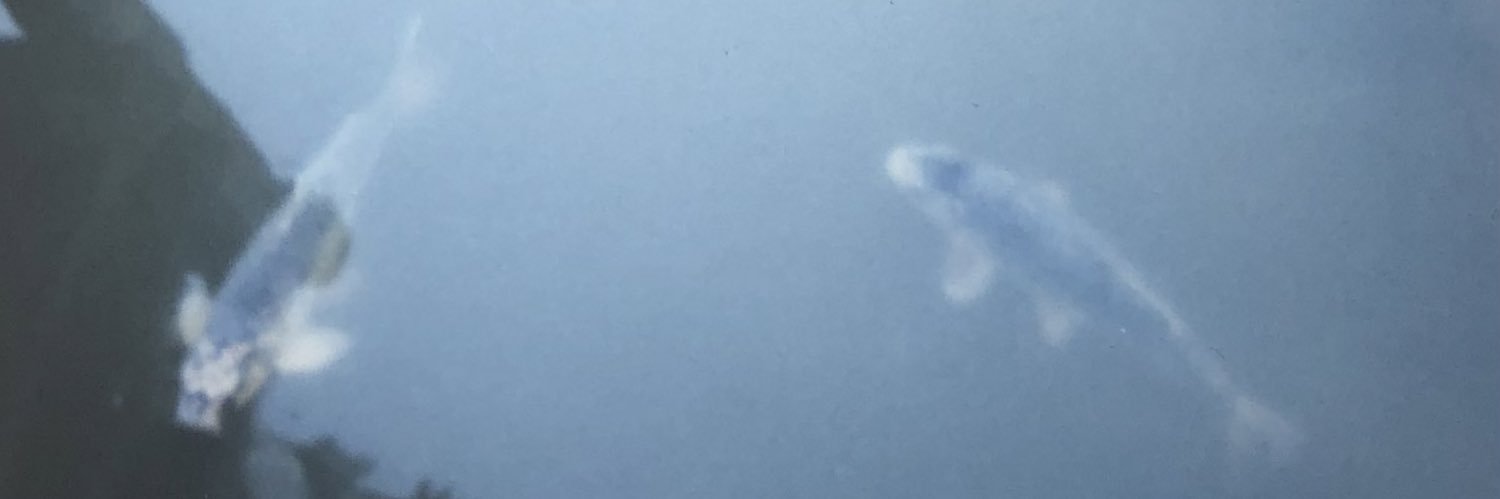 Bat🦇Bruja's banner