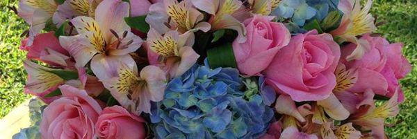 BGARBAN's profile banner image