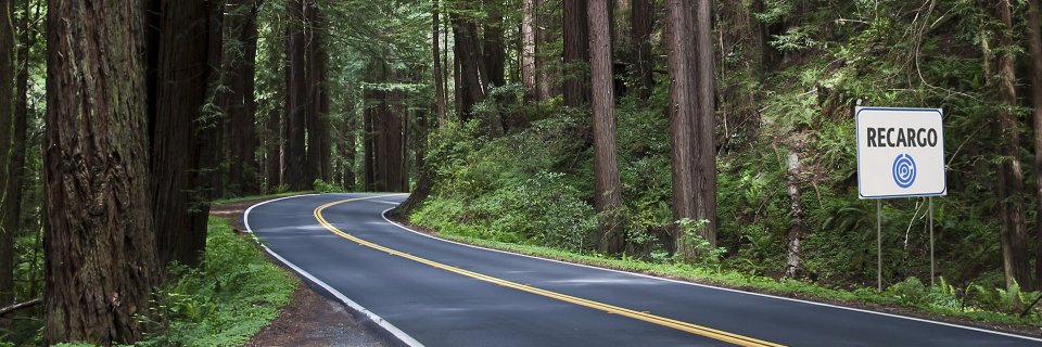recargonews's profile banner image