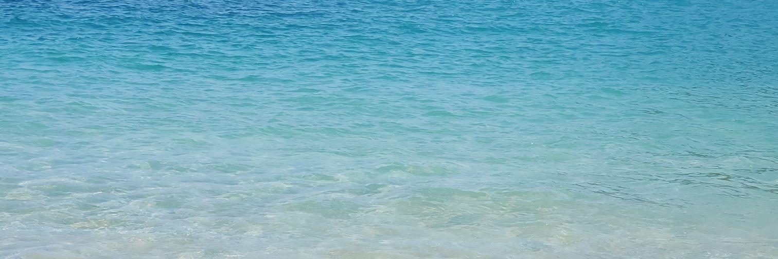 fannyacm's profile banner image