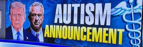 Autista Nível Teis banner