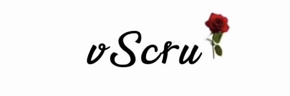 vS banner