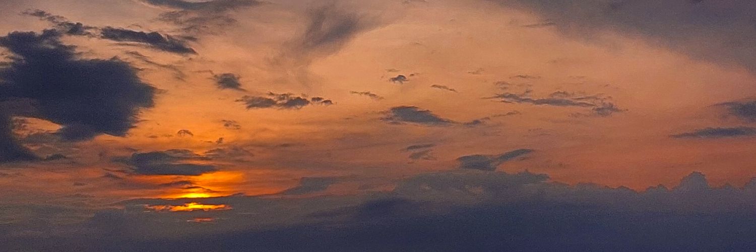 aleoliolio's profile banner image
