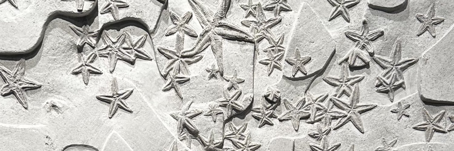 Wedge 🦋 @wedge.black banner