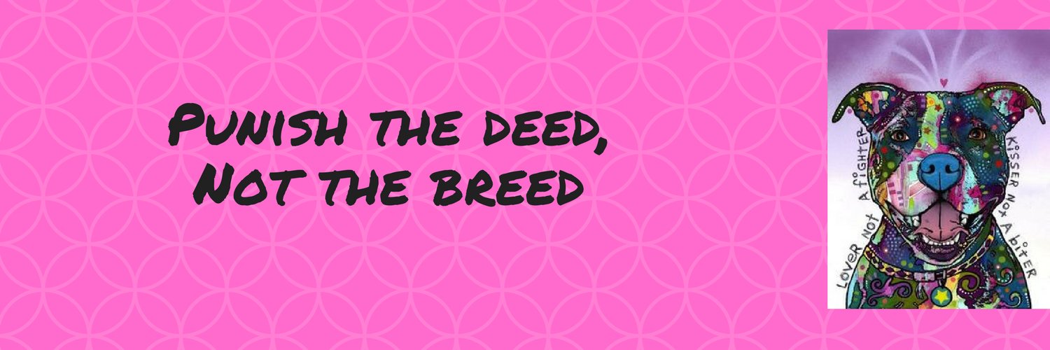 Leslie Taylor banner