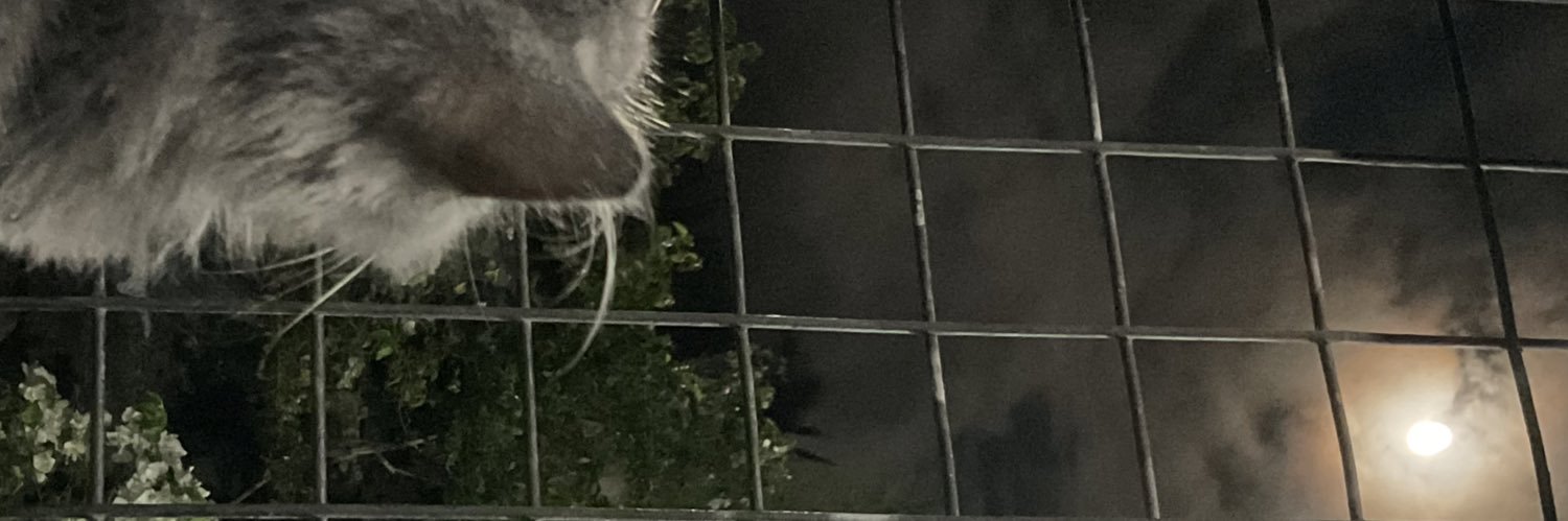 hdnrnl's profile banner image