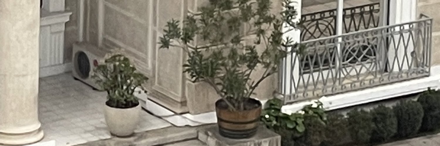 willy_ward's profile banner image