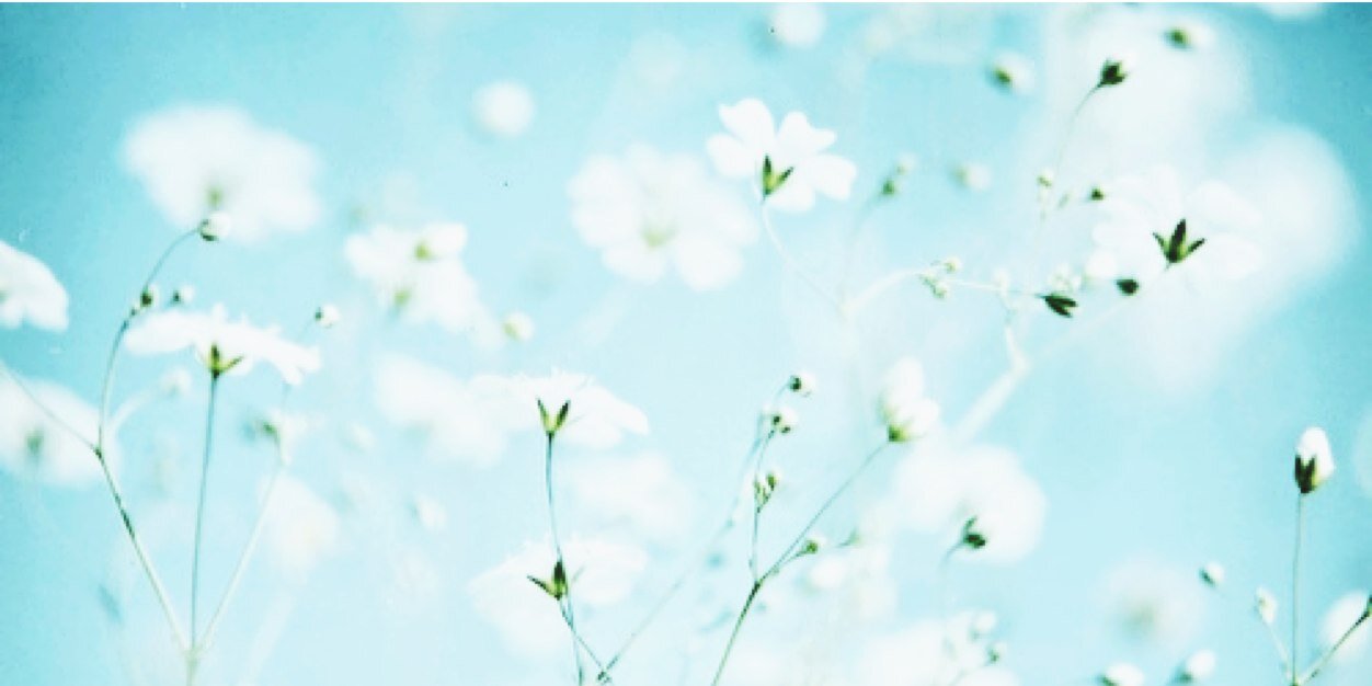 iMeanGirlsTweet's profile banner image