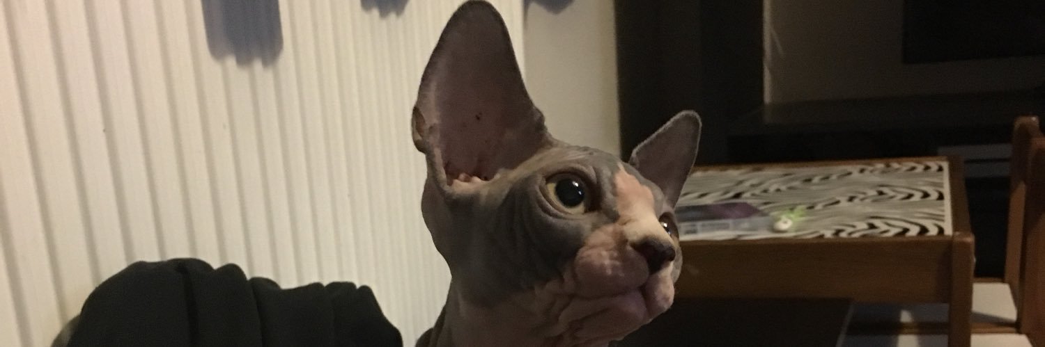 CharlElectric's profile banner image