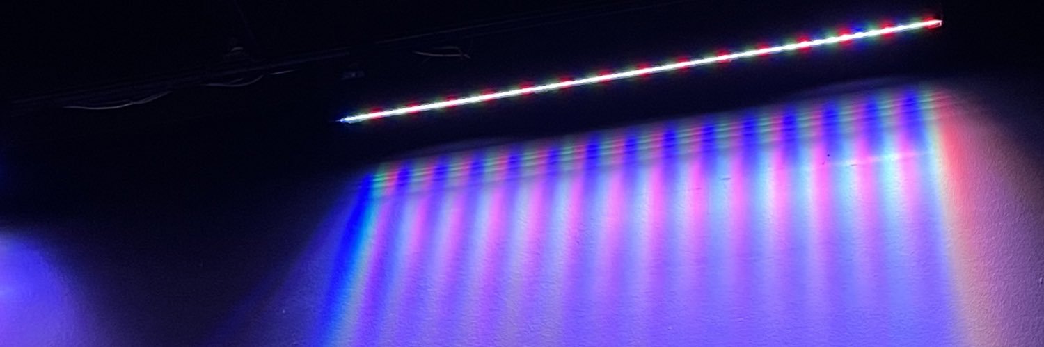 natalie 🦇🐀 banner