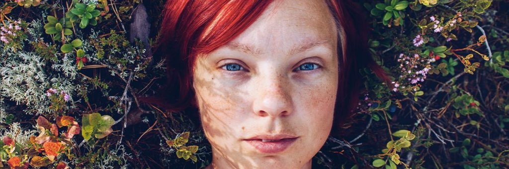 Reaktionista's profile banner image