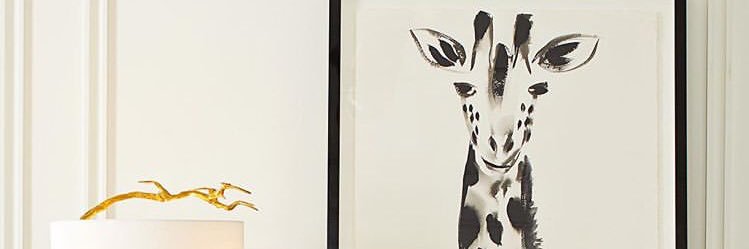 cansusph's profile banner image