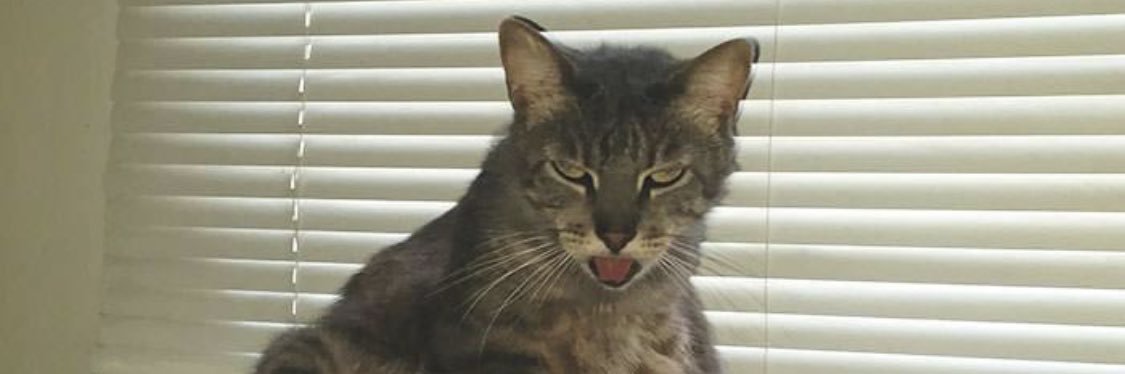 Bergsteinn Jonsson banner