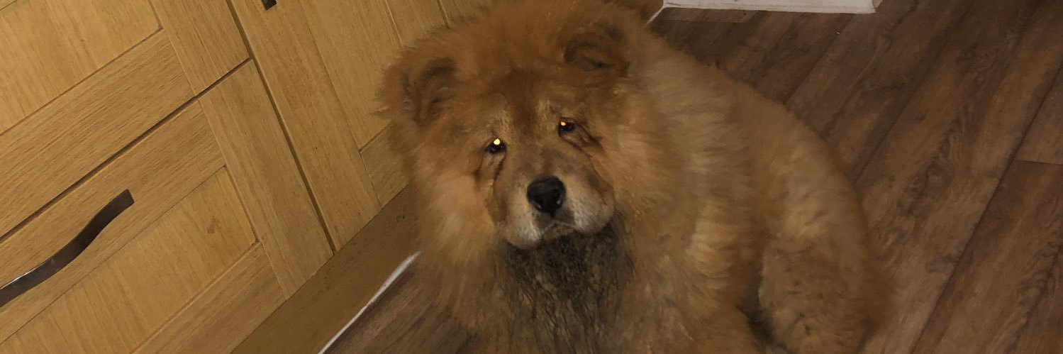 reece_breslin1's profile banner image