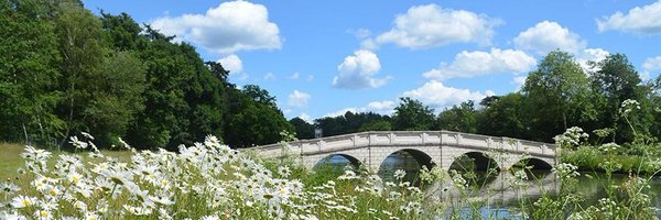 SurreyTH Profile Banner