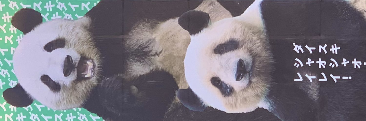 小さな森🌳 banner