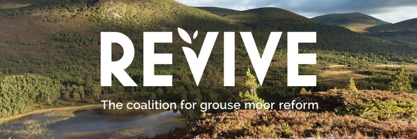 ReviveCoalition Profile Banner
