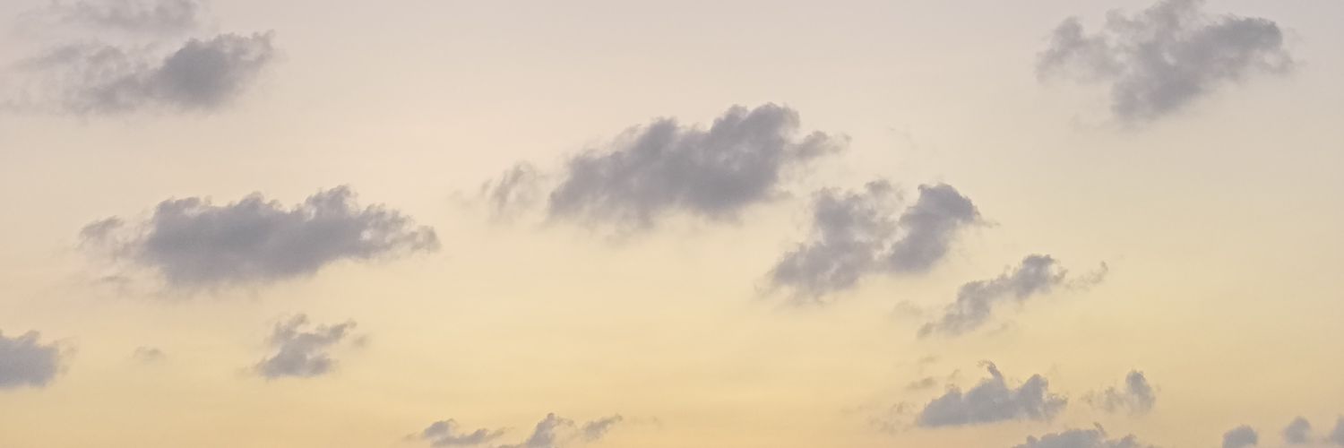 white fish banner