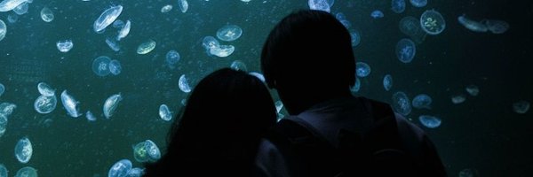 PLEI0N Profile Banner