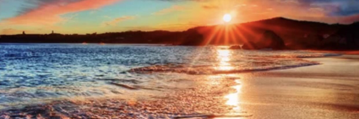 Rachel Panting banner