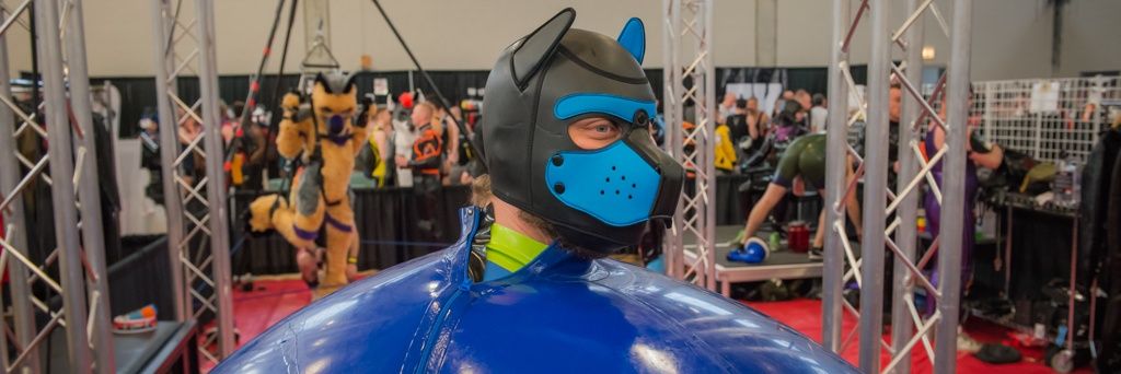 gearedrock (Pup Paws) @ gbus banner