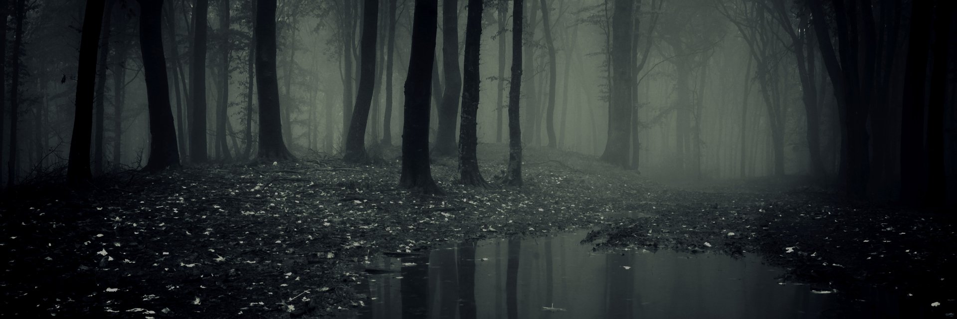 enginblacks's profile banner image