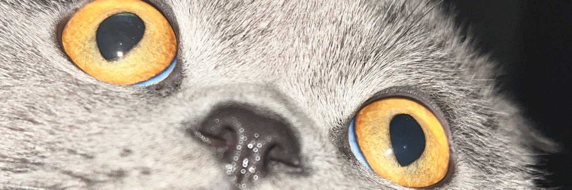 Furkanalcioglu's profile banner image