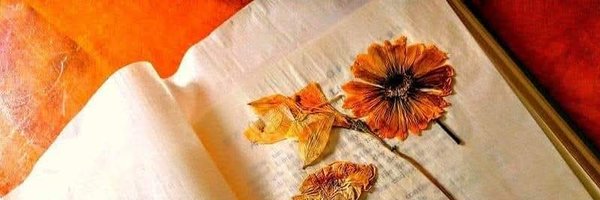 Kitabganj1 Profile Banner