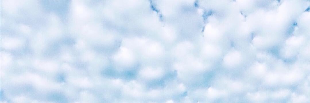 まぁるい人 banner