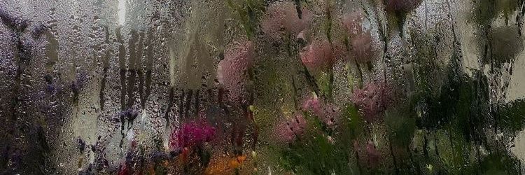 Simdisiyitik's profile banner image