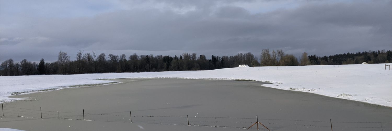 TheRealBigJake banner