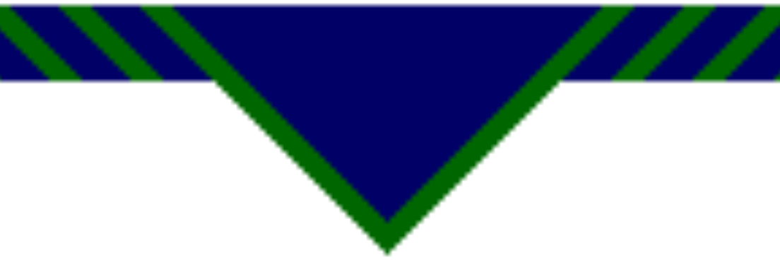 Ingleborough Scouts banner