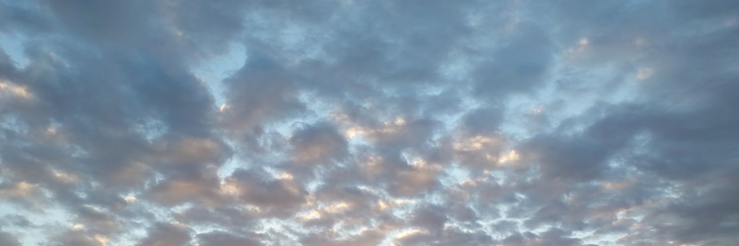 SimoMichelon's profile banner image