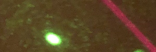 TMNMS1 Profile Banner