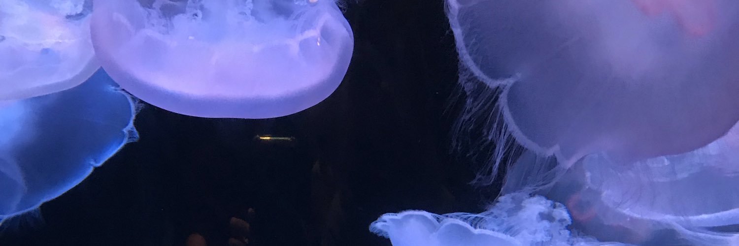 nebularnights's profile banner image