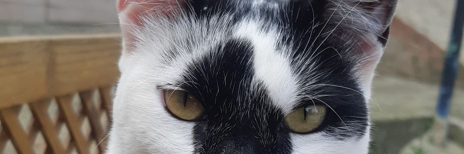 Superdriverbcn2's profile banner image