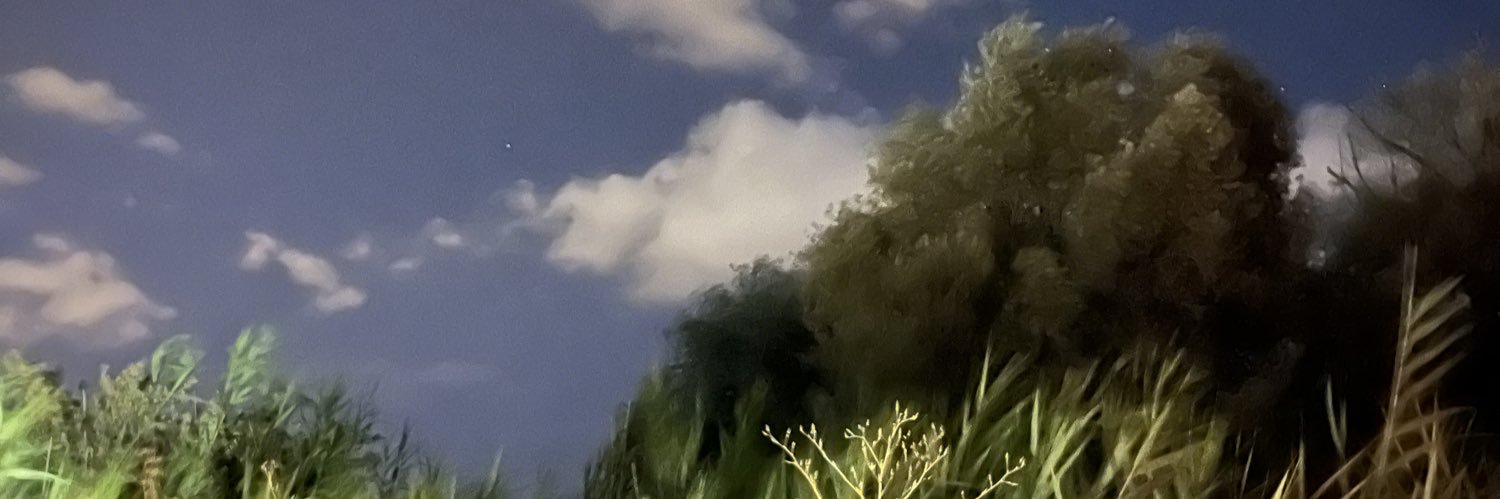 eloaydin_'s profile banner image