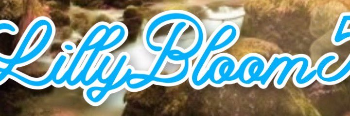 Lilly banner