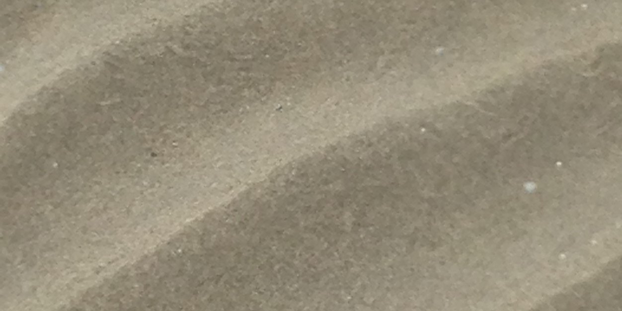 Ronald Backers banner