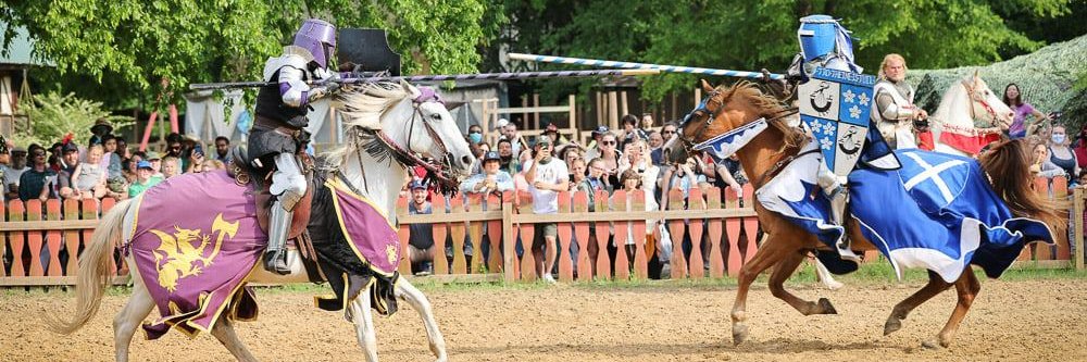 Scarborough Faire® banner