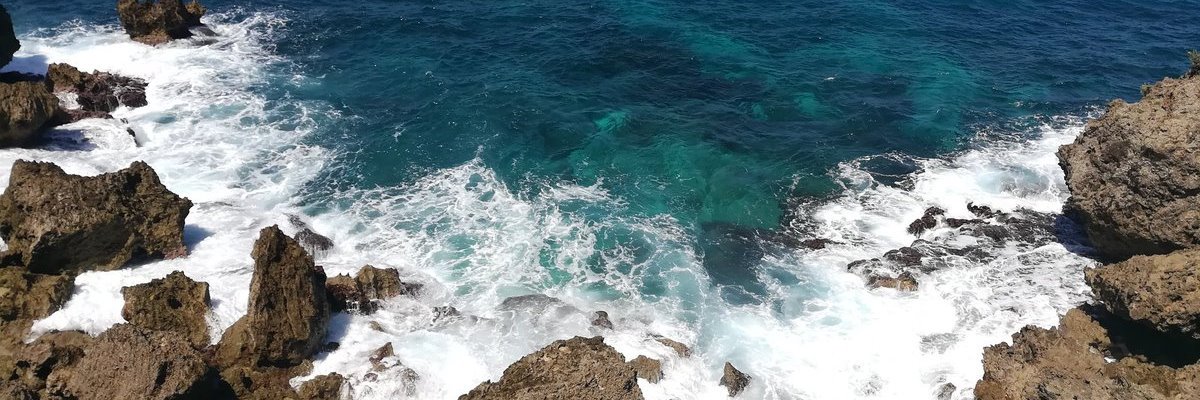 cereza_stan's profile banner image
