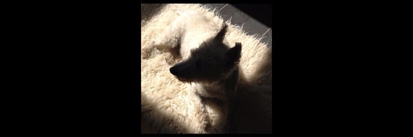 BozHayward Profile Banner